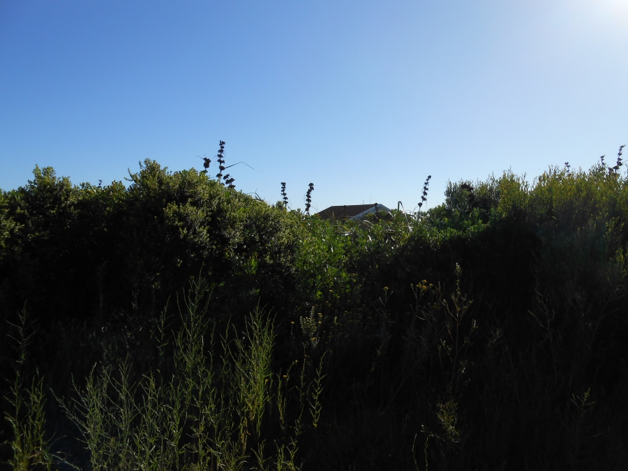 0 Bedroom Property for Sale in Oyster Bay Eastern Cape